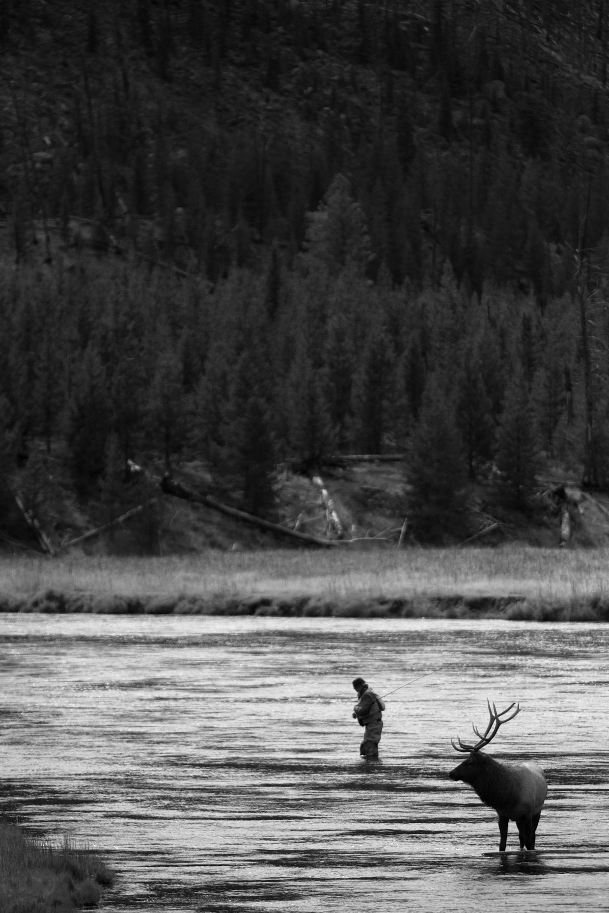 Montana-33